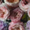 Fototapete Vlies Grandeco Rosa Lila Blumen A52101