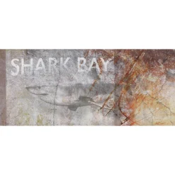 Fototapete Vlies Hai Schild Shark Bay grau
