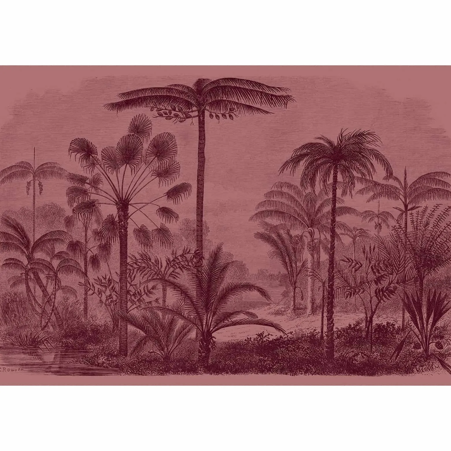 Fototapete Vlies Jurassic Pflanzen rosa rot Premium