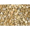 Fototapete Vlies Kieselsteine Deko beige creme