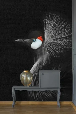 Fototapete Vlies Kronen-Kranich Vogel schwarz