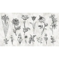 Fototapete Vlies Kräuter Blumen grau schwarz Premium