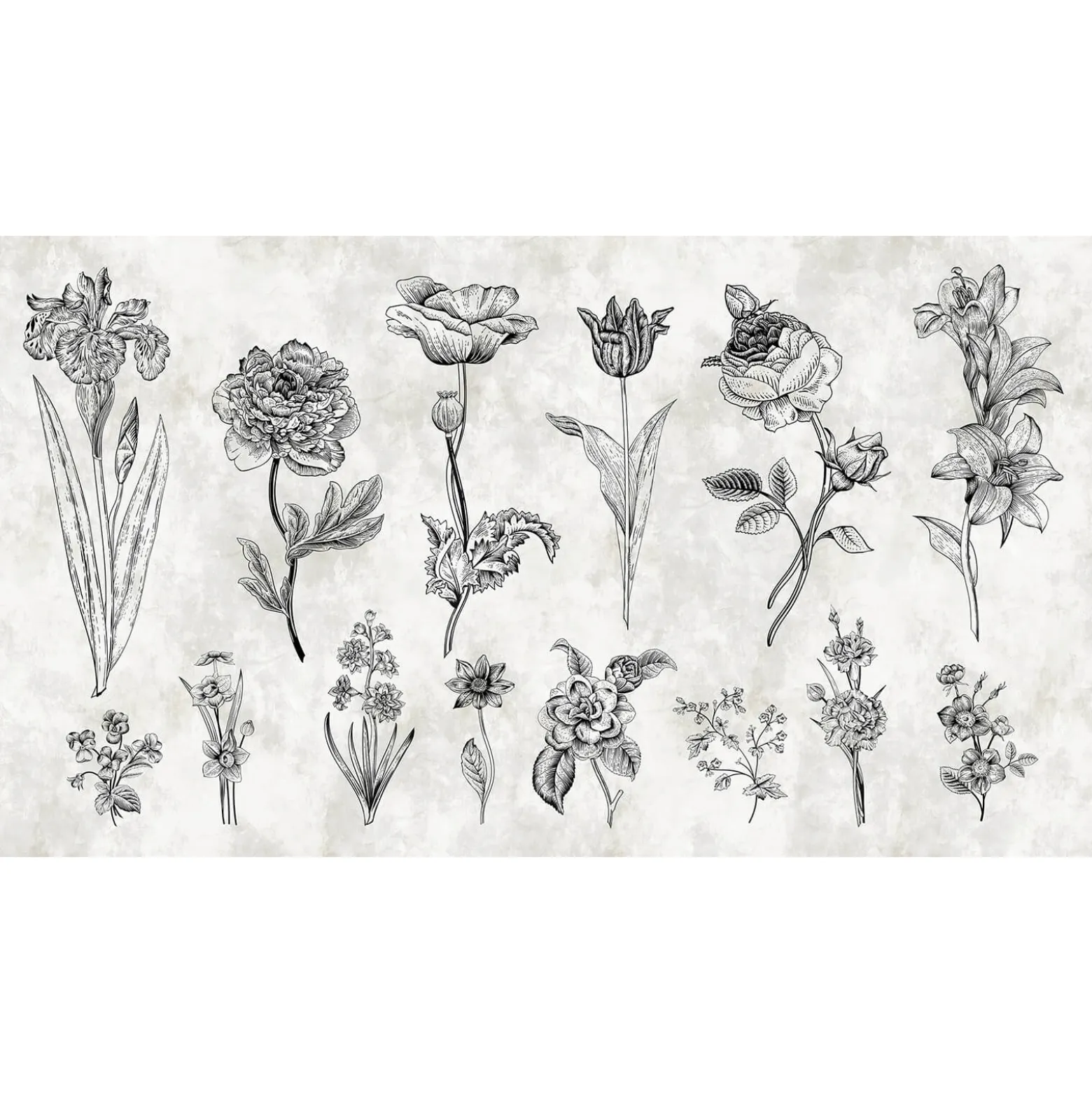 Fototapete Vlies Kräuter Blumen grau schwarz Premium
