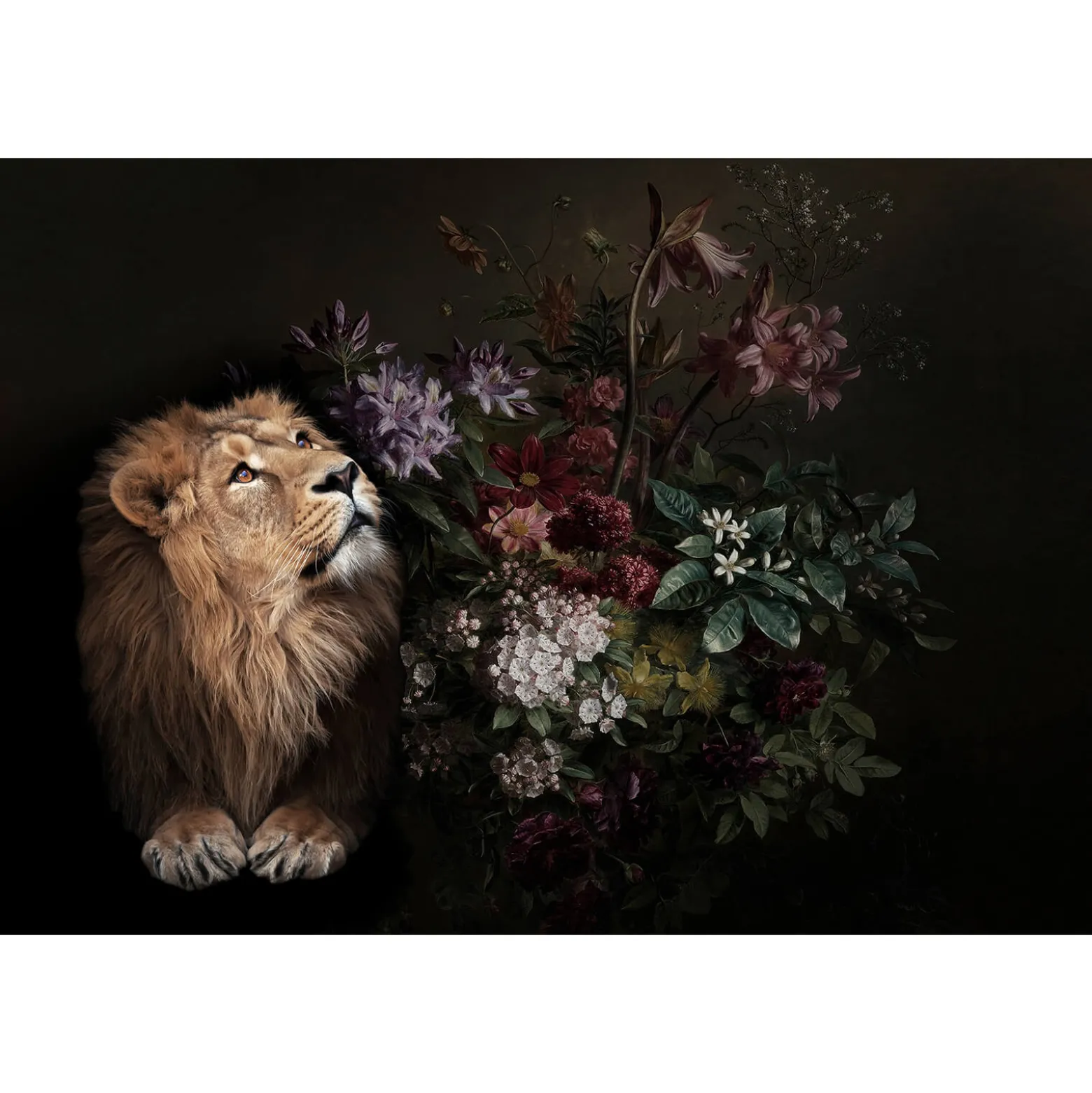 Fototapete Vlies Löwe Blumen schwarz braun Premium
