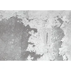 Fototapete Vlies Mauer Putz Shabby grau weiß