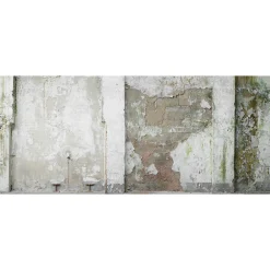 Fototapete Vlies Mauer Putz Shabby grau grün