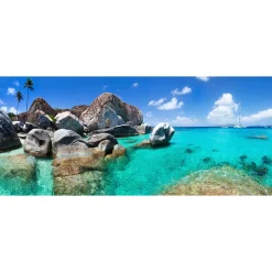 Fototapete Vlies Meer Felsen Palmen blau braun