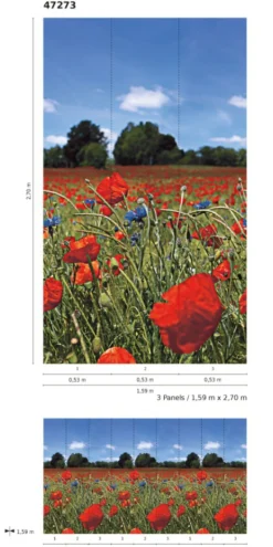 Fototapete Vlies Mohnblumen Wiese rot grün blau 47273