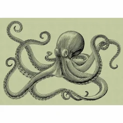 Fototapete Vlies Oktopus Tintenfisch grün Premium
