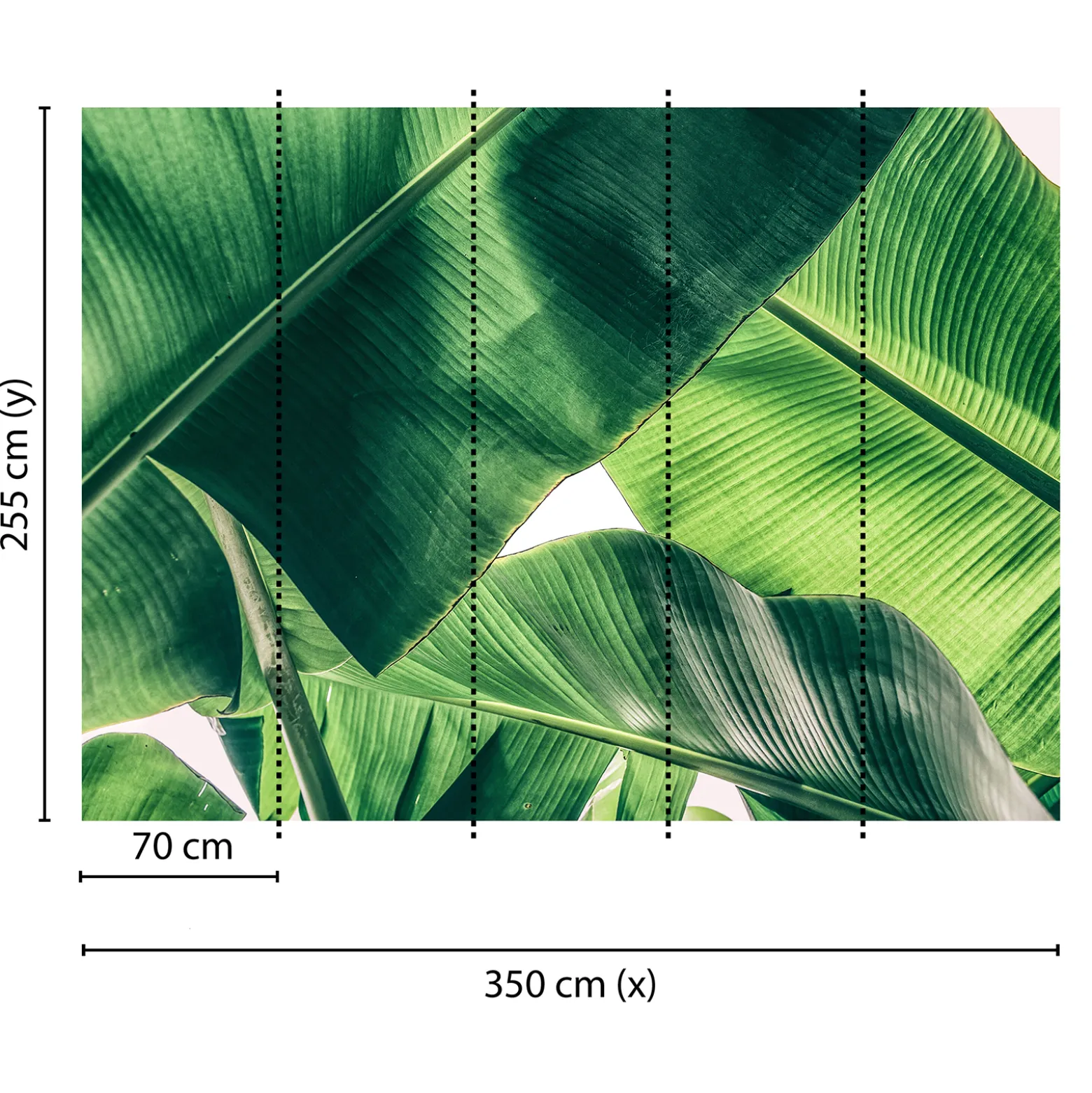 Fototapete Vlies Palmen Blätter grün weiß Designwalls