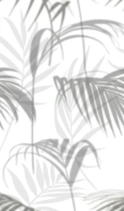 Fototapete Vlies Palmen Blätter Floral grau weiß 47210