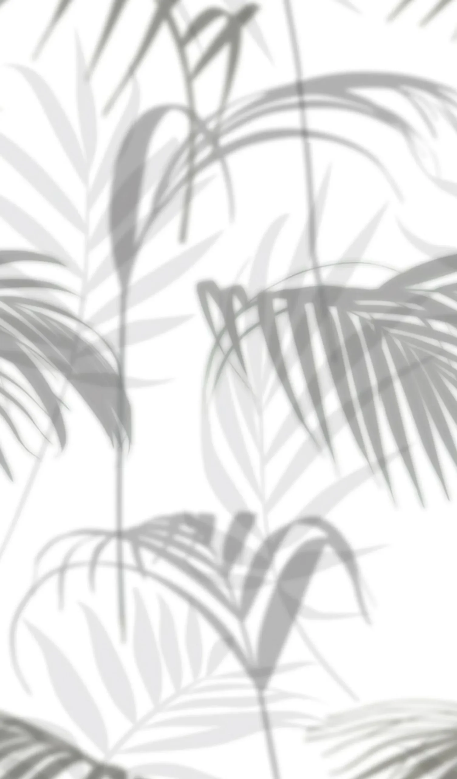 Fototapete Vlies Palmen Blätter Floral grau weiß 47210