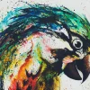 Fototapete Vlies Papagei Abstrakt bunt grau