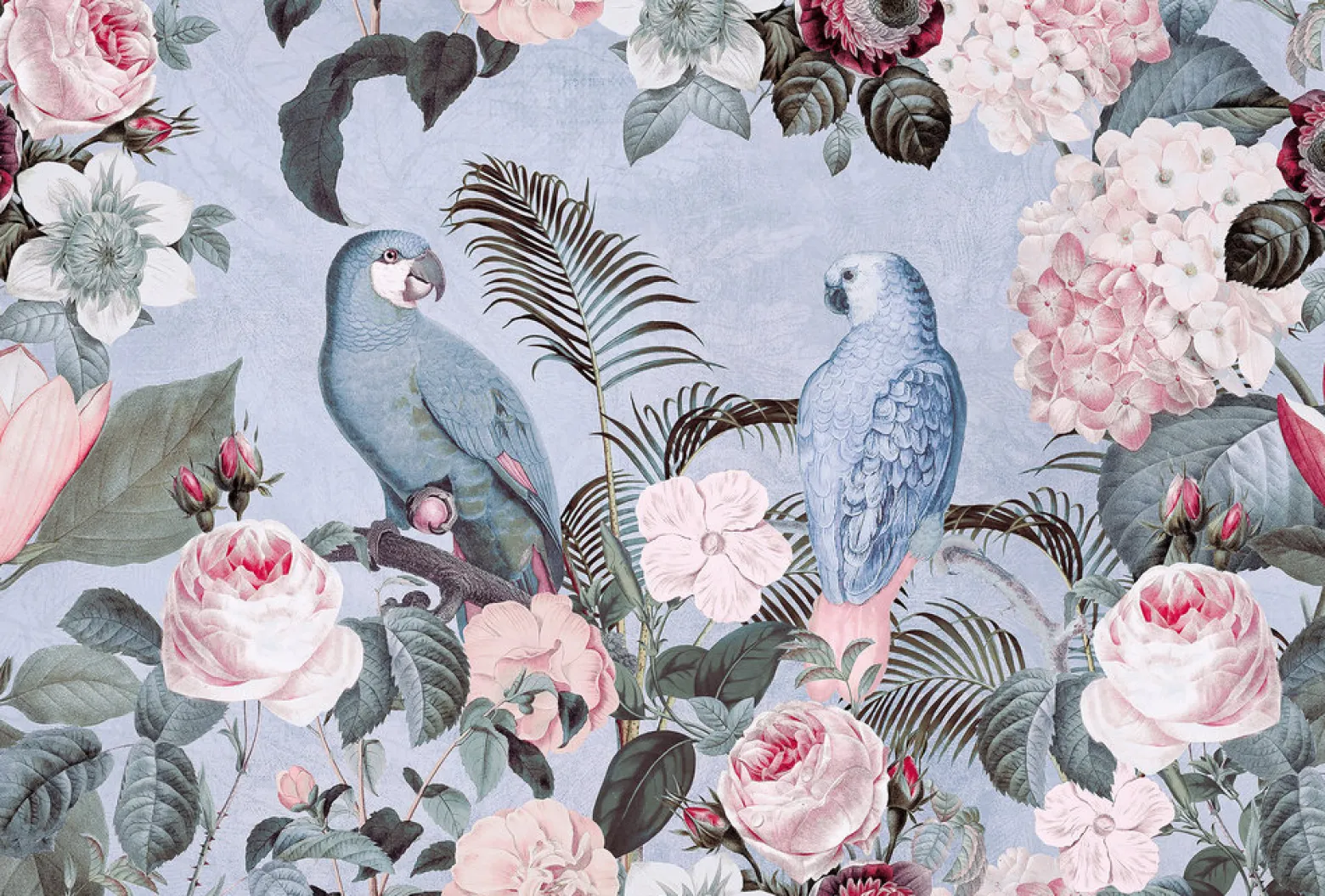 Fototapete Vlies Papagei Blumen blau rosa grün