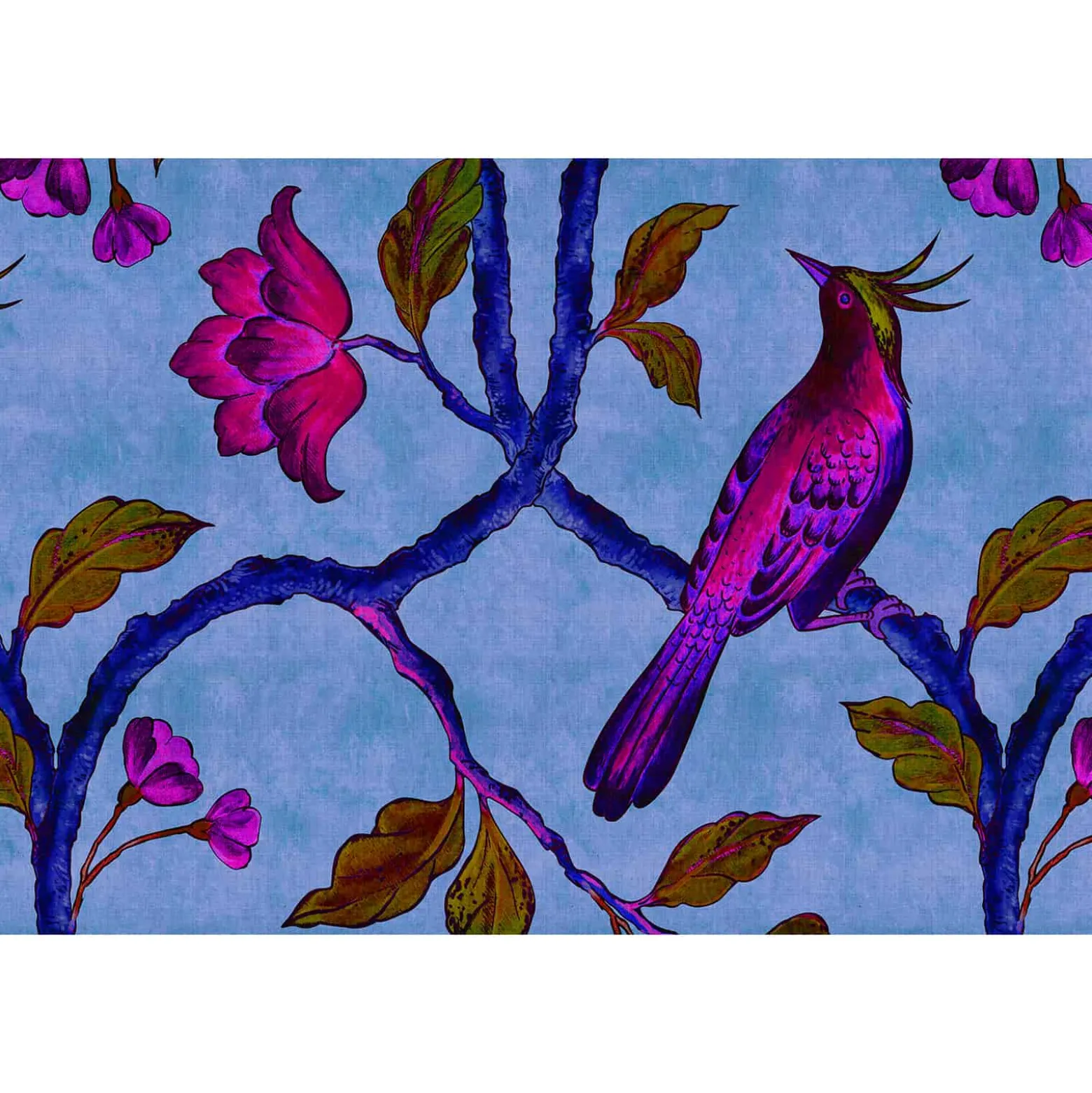Fototapete Vlies Paradiesvogel blau pink Premium