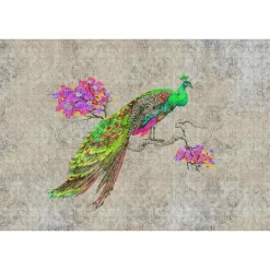 Fototapete Vlies Pfau Vintage grün pink taupe Premium