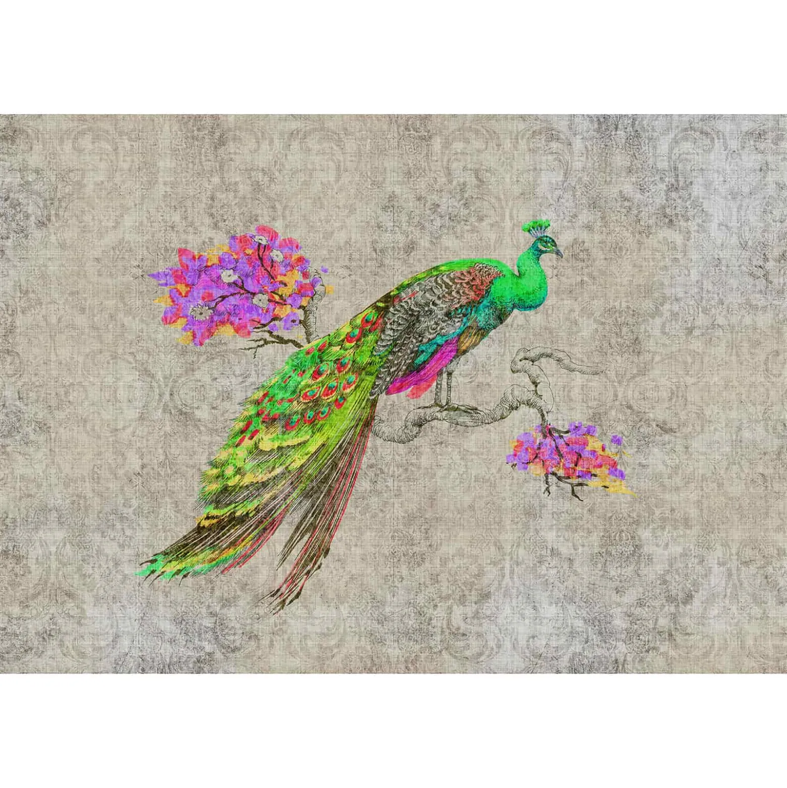 Fototapete Vlies Pfau Vintage grün pink taupe Premium
