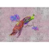 Fototapete Vlies Pfau Vintage grün rosa rot Premium