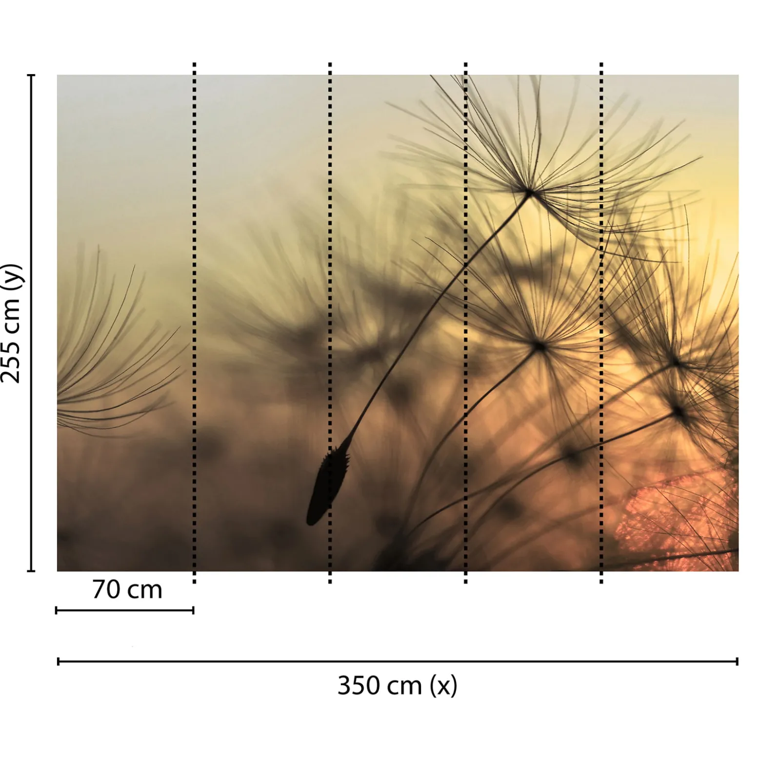Fototapete Vlies Pusteblume Löwenzahn grau rosa schwarz