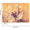 Fototapete Vlies Pusteblume Blüten Floral gelb weiß rosa