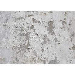 Fototapete Vlies Putz Mauer Shabby grau weiß