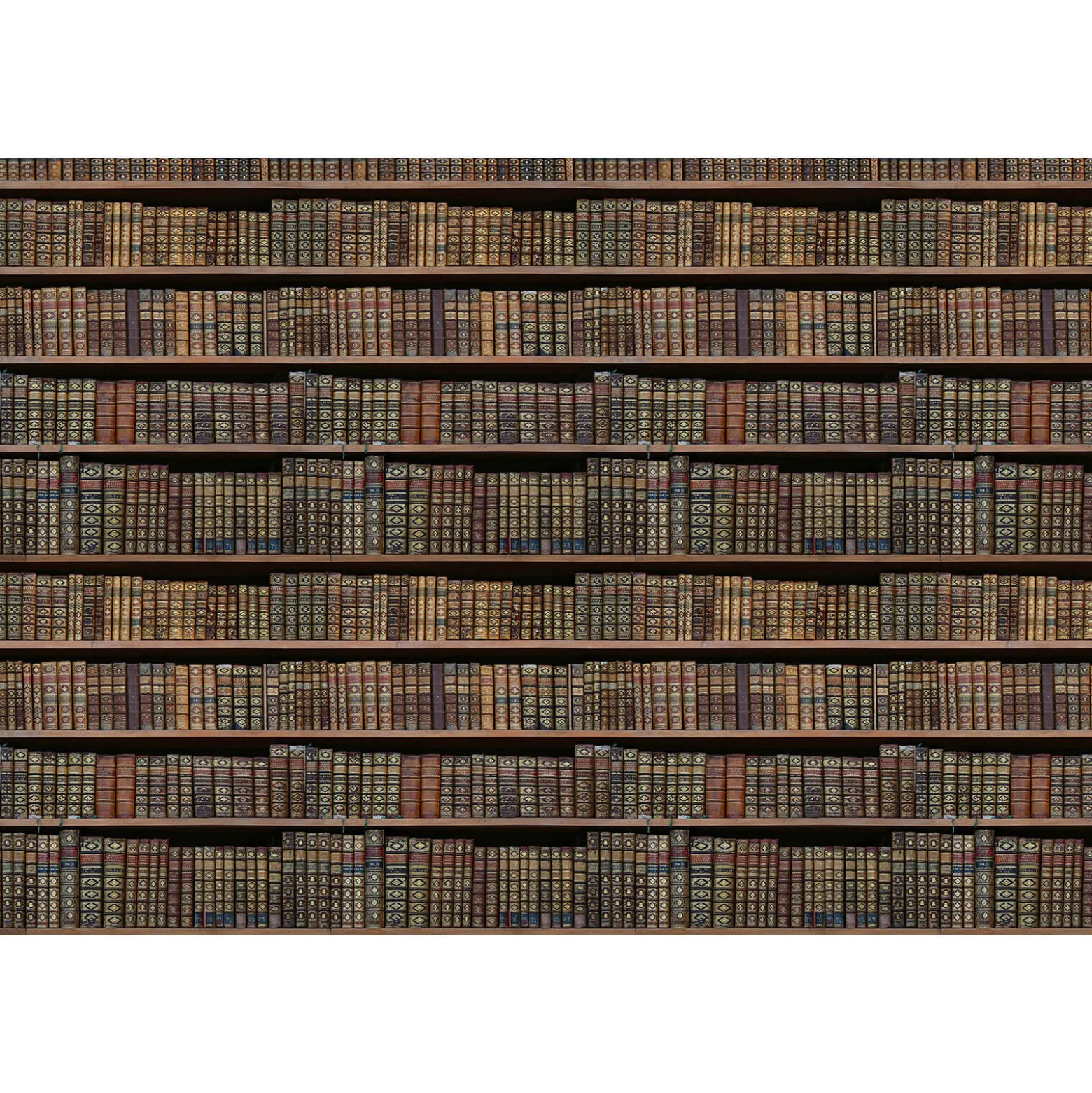 Fototapete Vlies Regal Bücherwand braun schwarz