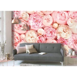Fototapete Vlies Rosen Floral rosa creme Designwalls