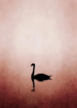 Fototapete Vlies Schwan See Natur rosa schwarz