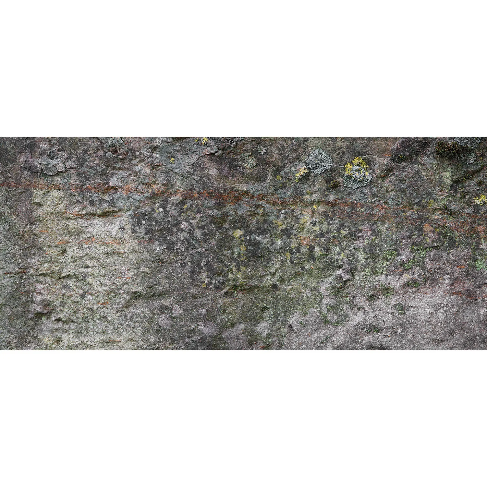 Fototapete Vlies Stein Moos Mauer grau grün