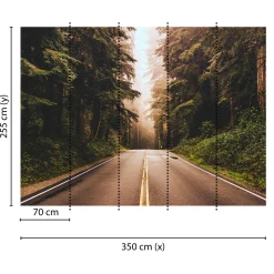 Fototapete Vlies Straße Wald Bäume grün braun