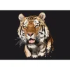Fototapete Vlies Tiger Polygon Grafisch schwarz