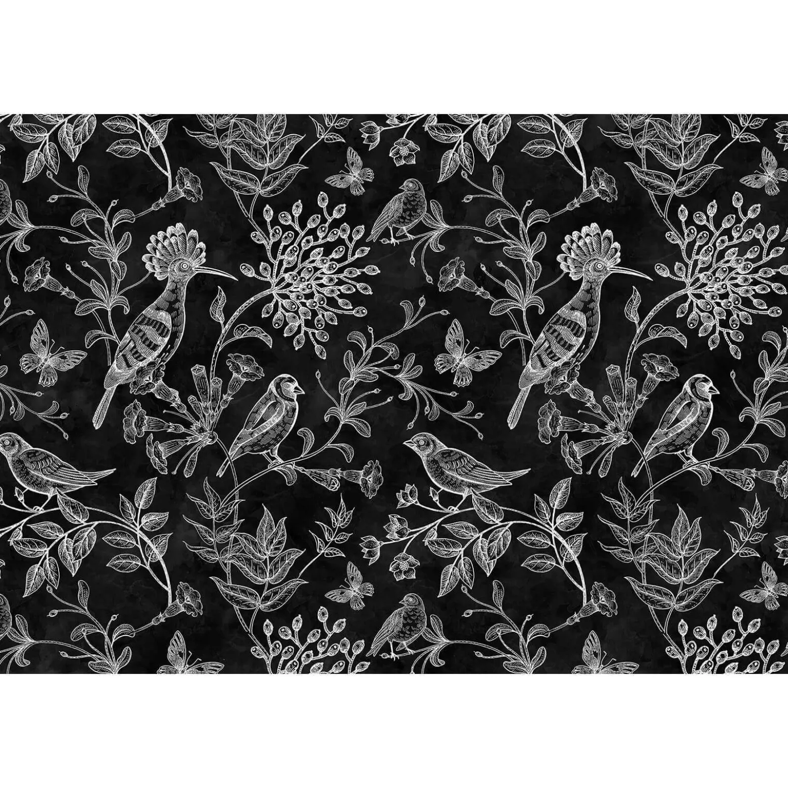 Fototapete Vlies Vögel Blumen Floral Tafel grau Premium