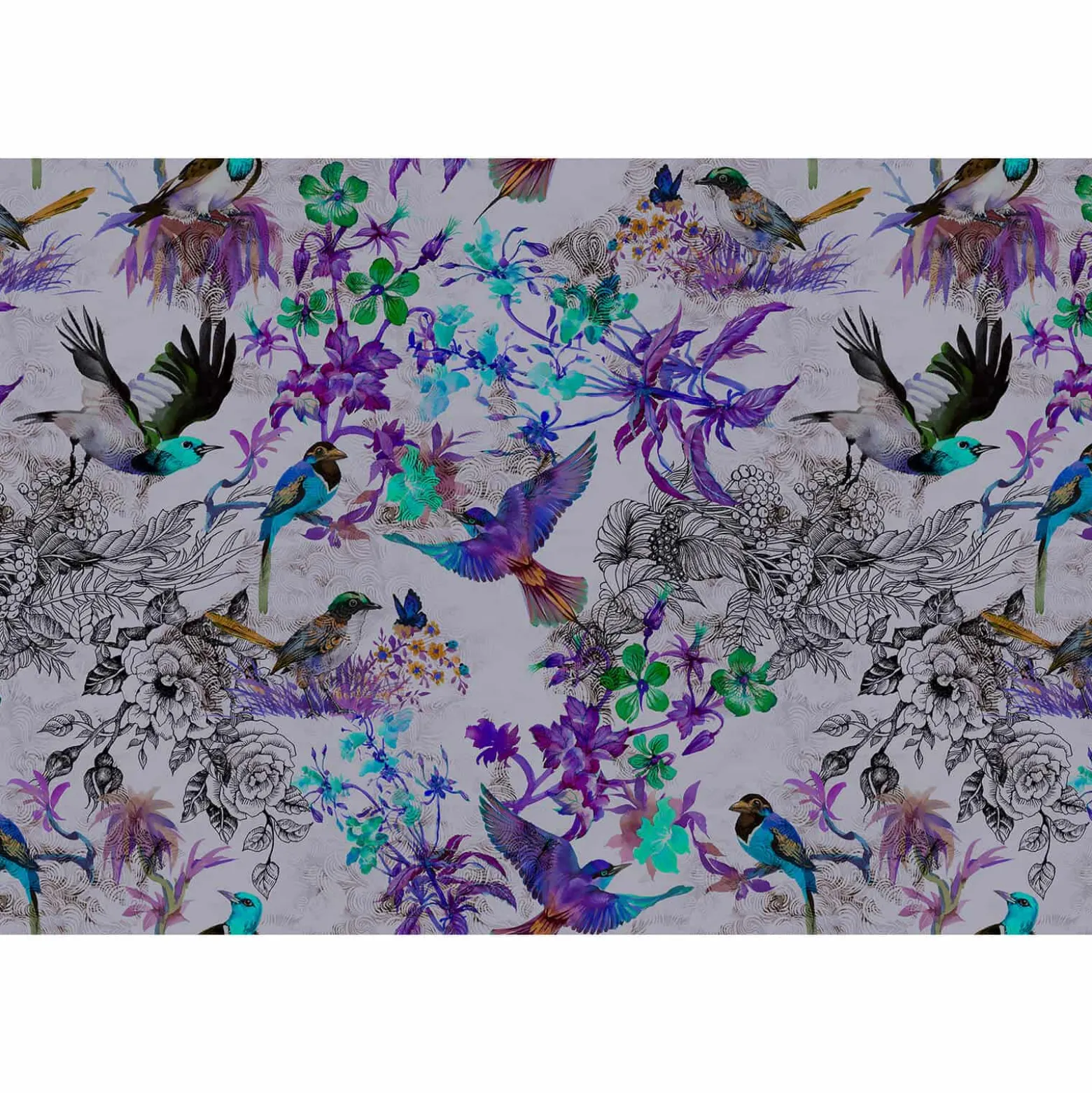Fototapete Vlies Vögel Blumen Floral Neon grau lila