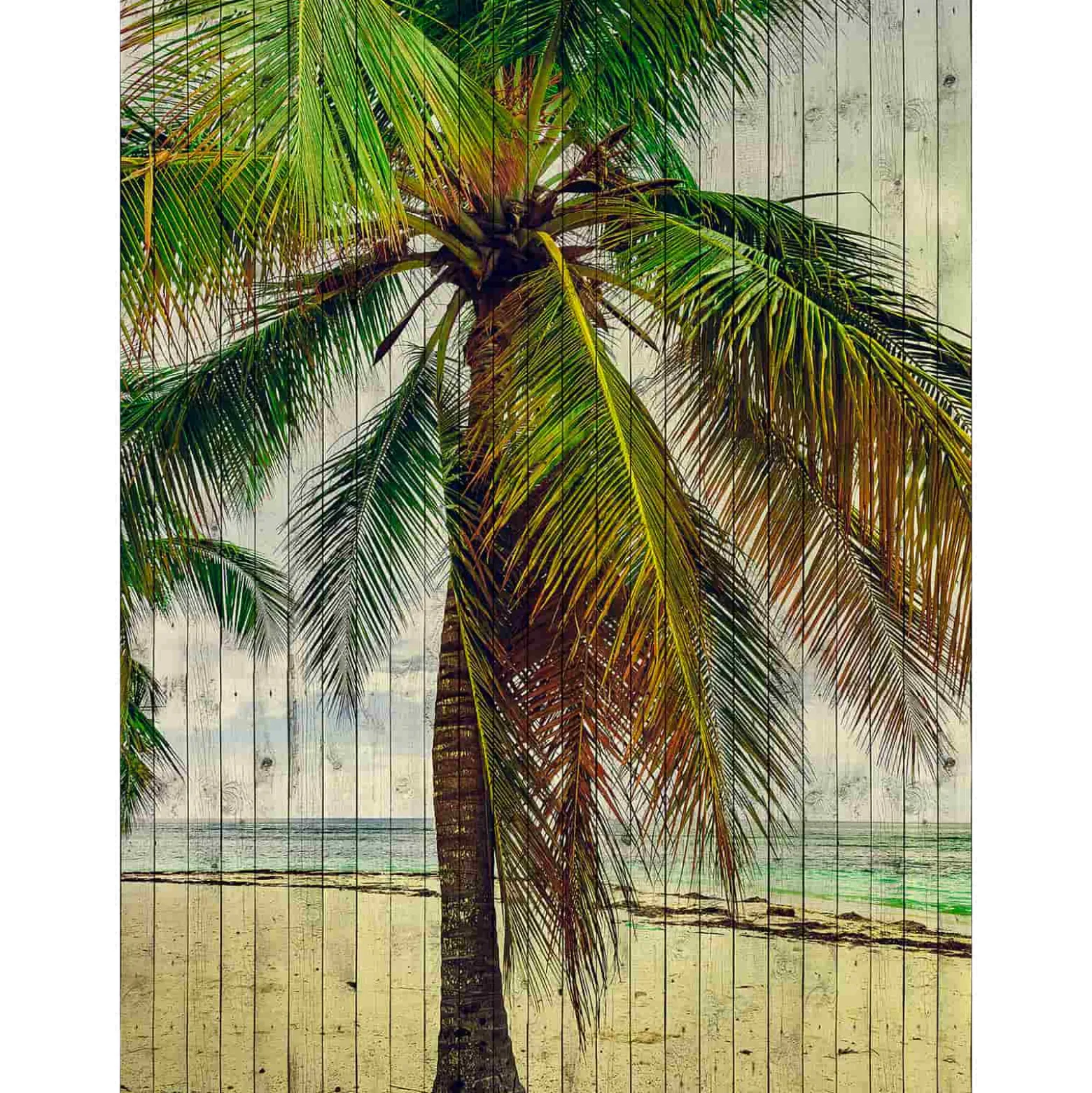 Fototapete Vlies Vintage Palme blau braun Premium