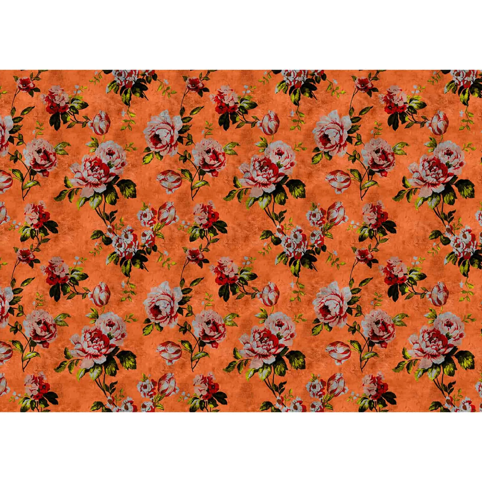 Fototapete Vlies Vintage Rosen orange rot grau Premium