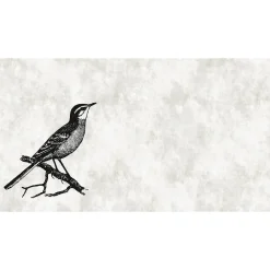 Fototapete Vlies Vogel Ast Natur grau schwarz Premium