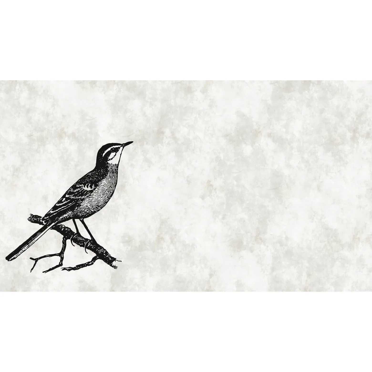 Fototapete Vlies Vogel Ast Natur grau schwarz Premium