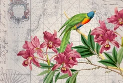 Fototapete Vlies Vogel Blüten grün rot grau