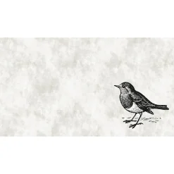 Fototapete Vlies Vogel Spatz Natur Putz grau Premium