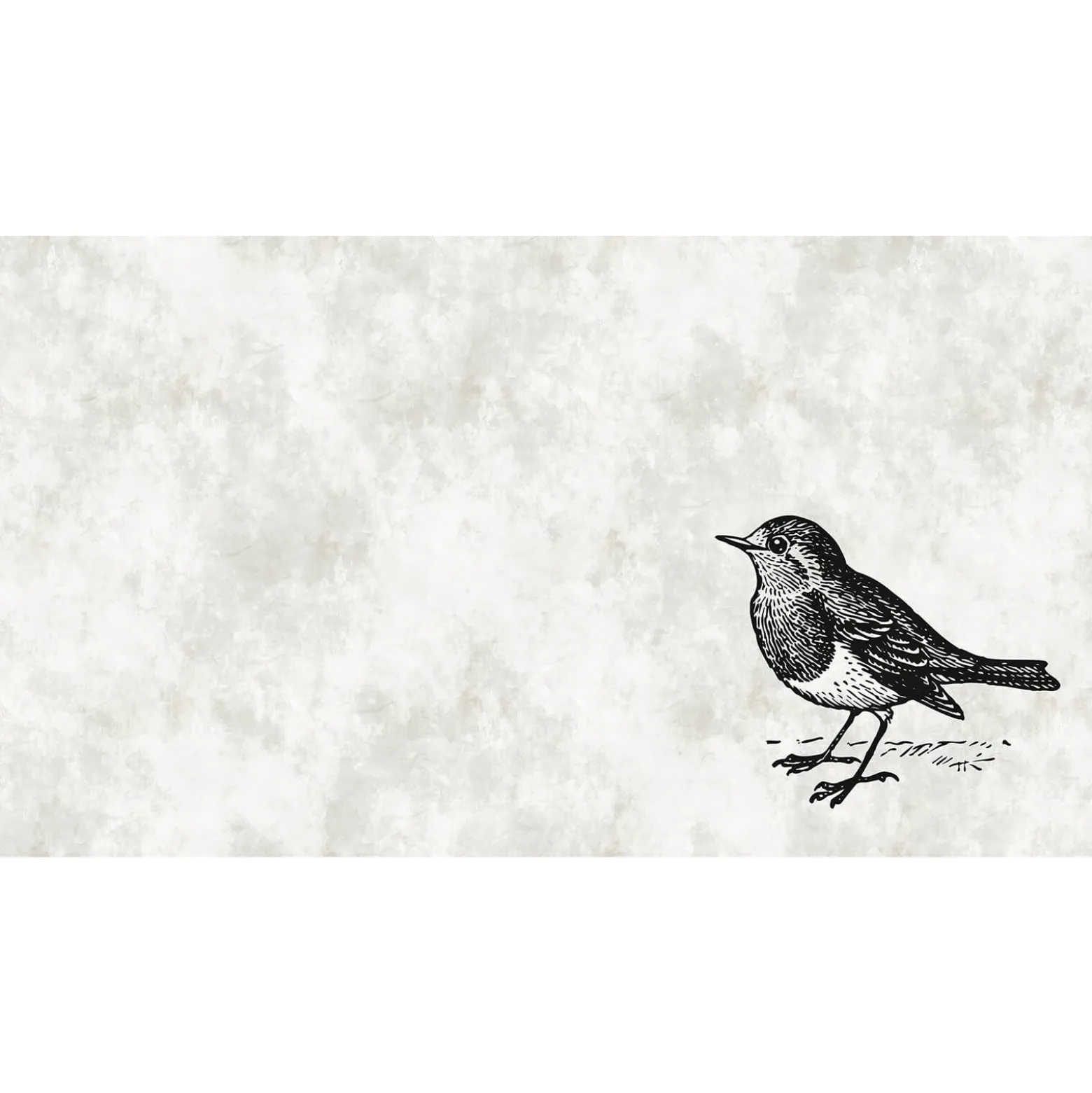 Fototapete Vlies Vogel Spatz Natur Putz grau Premium