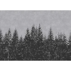 Fototapete Vlies Wald Bäume grau schwarz Premium