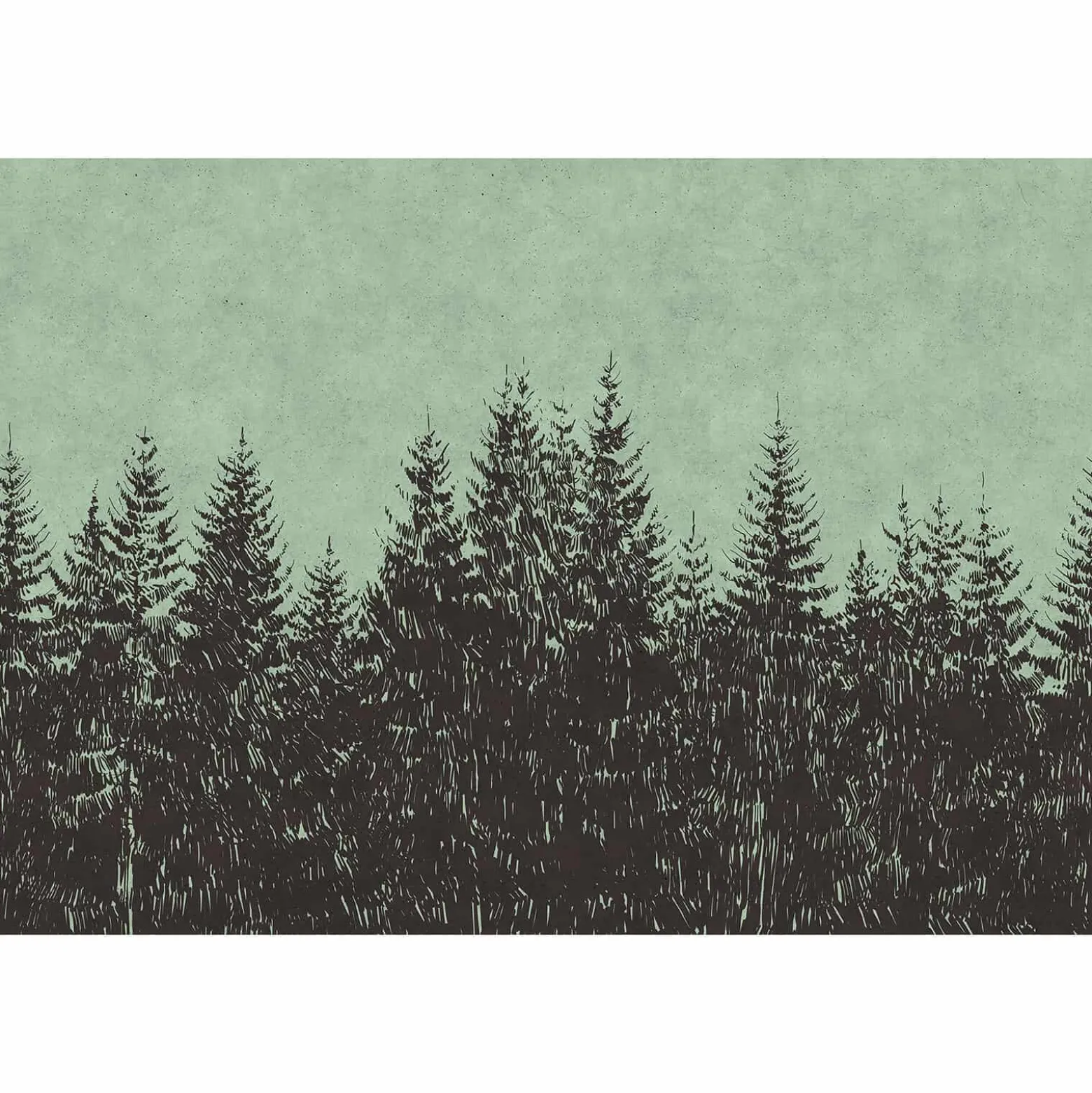 Fototapete Vlies Wald Bäume grün schwarz Premium