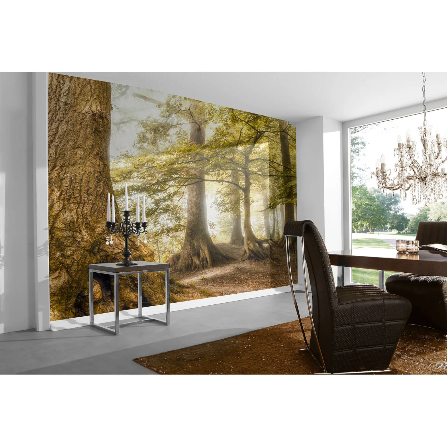 Fototapete Vlies Wald Laubbäume braun grün