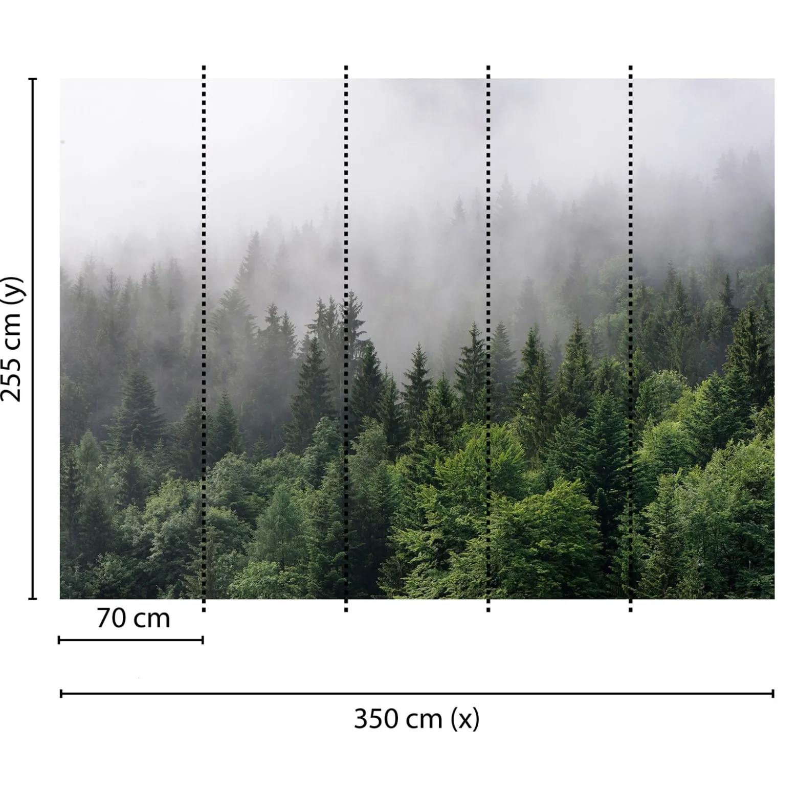 Fototapete Vlies Wald Nebel Bäume grün grau Designwalls