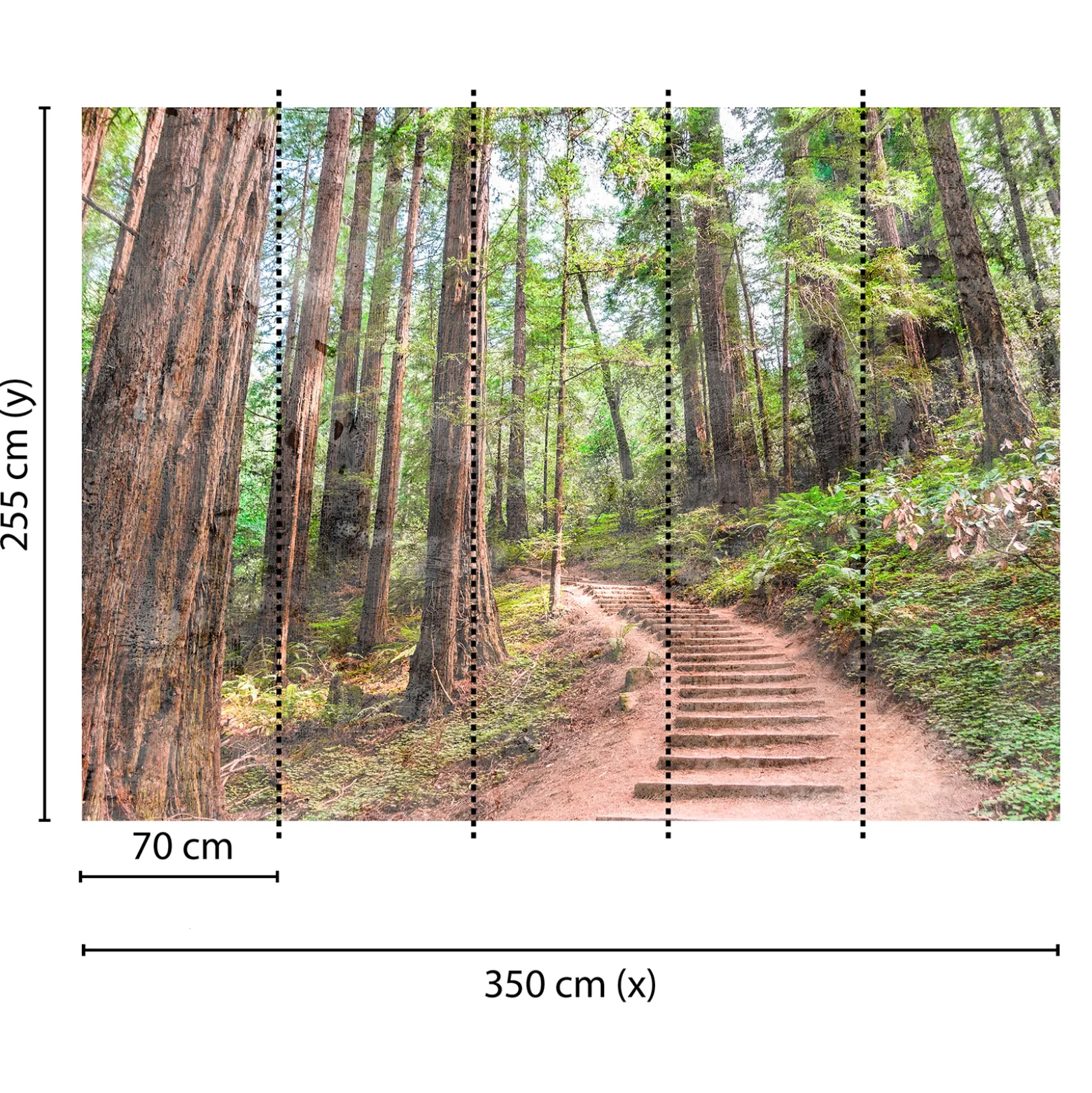 Fototapete Vlies Wald Treppe Weg grün braun Designwalls