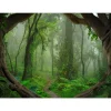 Fototapete Vlies Wald Wurzeln Tropen grün braun