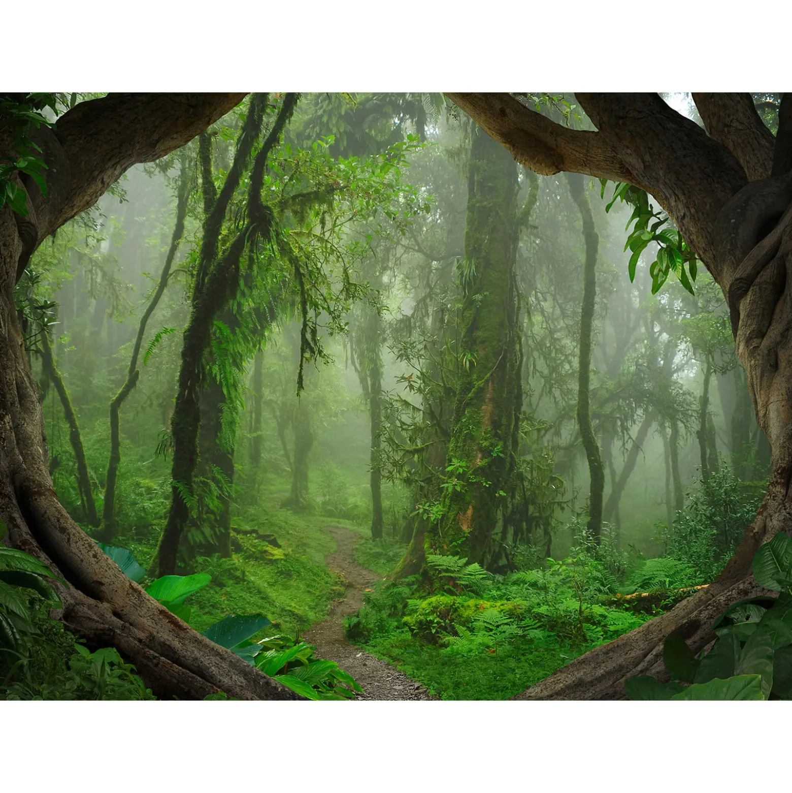 Fototapete Vlies Wald Wurzeln Tropen grün braun