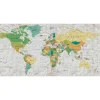Fototapete Vlies Weltkarte Atlas gelb grau grün