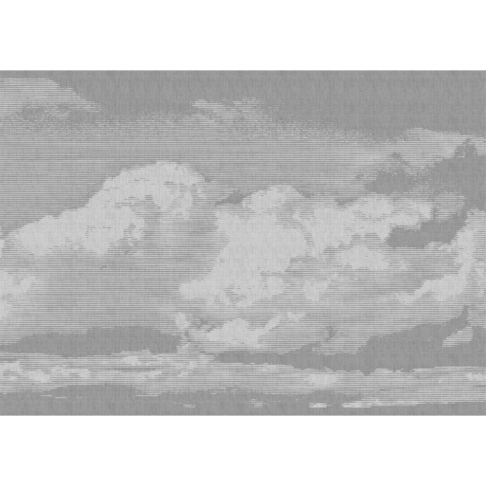 Fototapete Vlies Wolken Himmel grau weiß Premium