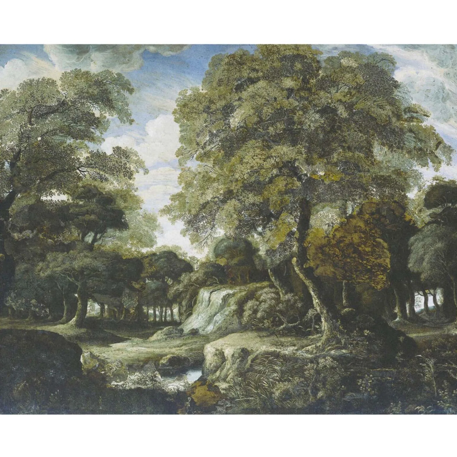 Fototapete Wald Bäume Natur Grün Braun 2506V-11